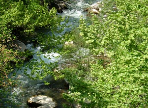 rivière La lubiane